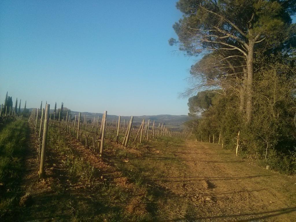Argiano Dimore Wine Relais Экстерьер фото